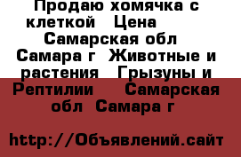 Продаю хомячка с клеткой › Цена ­ 500 - Самарская обл., Самара г. Животные и растения » Грызуны и Рептилии   . Самарская обл.,Самара г.